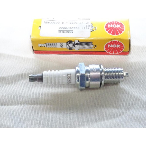 1 Bougie allumage NGK 4691 BP5ESZ pour renault 19 R19 express clio twingo 1.2 1.4 