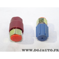 Kit adaptateur raccord durite tuyau climatisation Valeo 509389 pour R12 à R134A 