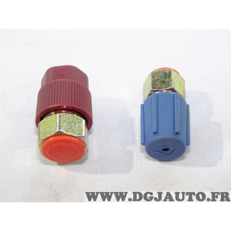 Kit adaptateur raccord durite tuyau climatisation Valeo 509389 pour R12 à R134A 