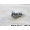 Vis clapet de retour pompe à injection lucas DPC Delphi 9100-191F