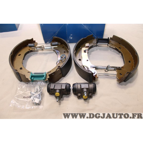 Kit frein arriere prémonté montage AP lockheed 254x57mm Bosch KS646 0204114646 pour citroen jumper peugeot boxer fiat ducato 2 I