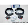 Kit frein arriere prémonté 203.2x38mm montage lucas Bosch KS549 0204114549 pour citroen ZX xsara saxo peugeot 106 306 renault