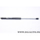 Verin hayon de coffre force 360N Ferron 29 pour peugeot 505 