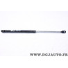 Verin hayon de coffre force 360N Ferron 29 pour peugeot 505