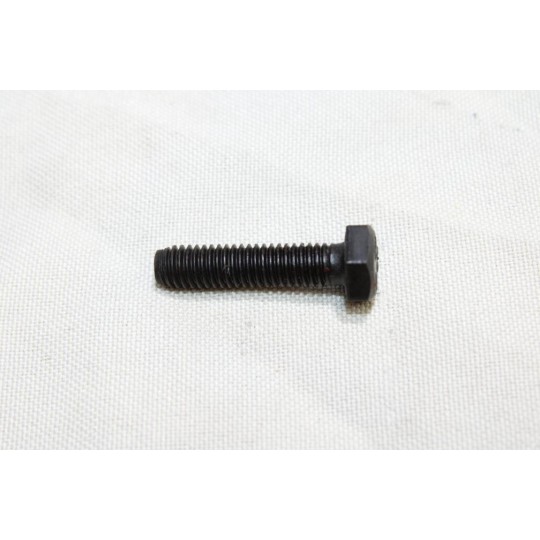 Vis Bosch 1695040011 