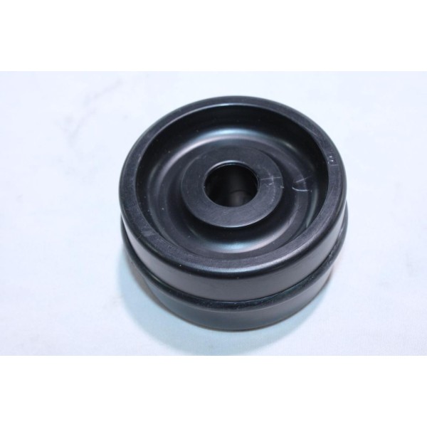 Roue fixe Werther AC3600710 