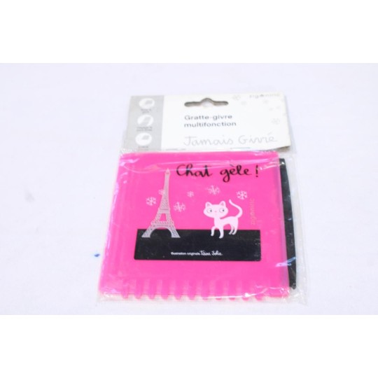 Gratte givre parebrise degivrage Zigoniric ZIG20PM Chat gèle 