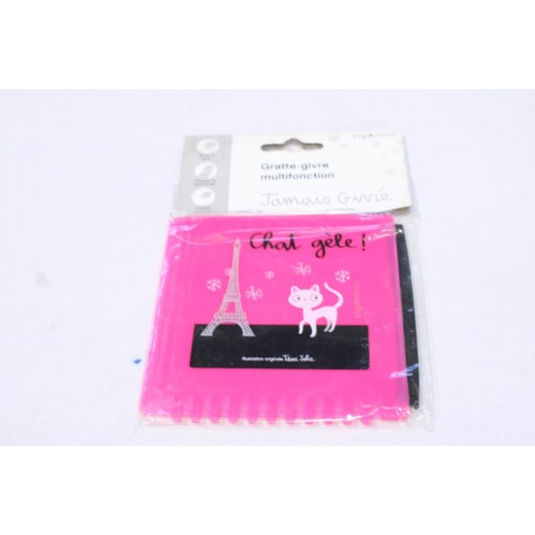 Gratte givre parebrise degivrage Zigoniric ZIG20PM Chat gèle 