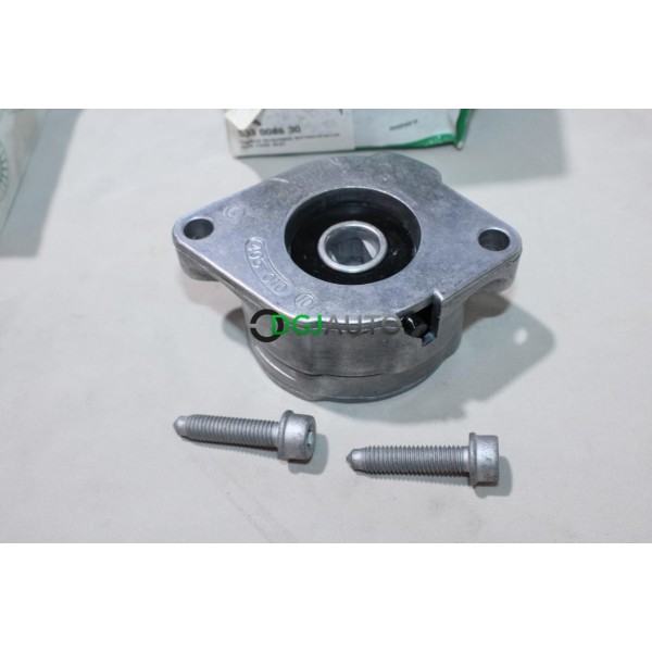 Galet tendeur courroie accessoire INA 533008630 pour audi 80 A6 ford galaxy 1 seat cordoba 1 I toledo 1 ibiza 2 II inca