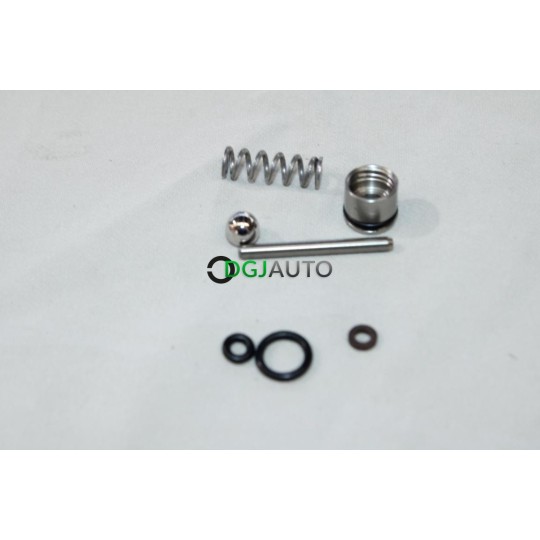 Kit piston Nilfisk 31000121 pour nettoyeur haute pression