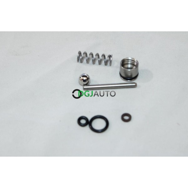 Kit piston Nilfisk 31000121 pour nettoyeur haute pression
