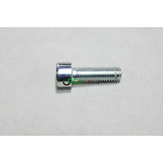 Vis M5x25 Nilfisk 301003063 pour nettoyeur haute pression nilfisk poseidon 