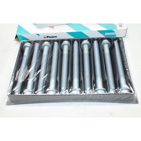 Jeu 10 vis de culasse Payen HBS084 pour citroen BX ZX XM xantia jumper evasion C15 C25 visa jumpy 1 berlingo 1 xsara fiat 