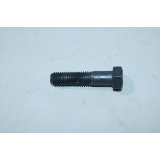 1 Vis Maurin Fixation 14x60 