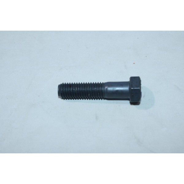 1 Vis Maurin Fixation 14x60 