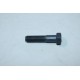 1 Vis Maurin Fixation 14x60 