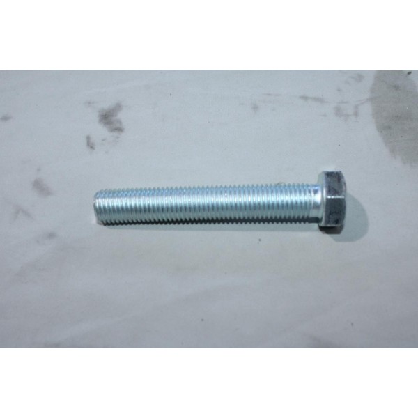 1 Vis Maurin Fixation 16x100 