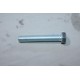 1 Vis Maurin Fixation 16x100 