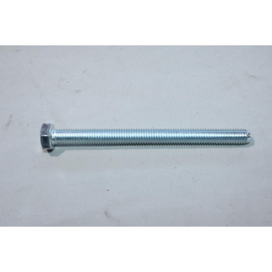 1 Vis Maurin Fixation 10x120 