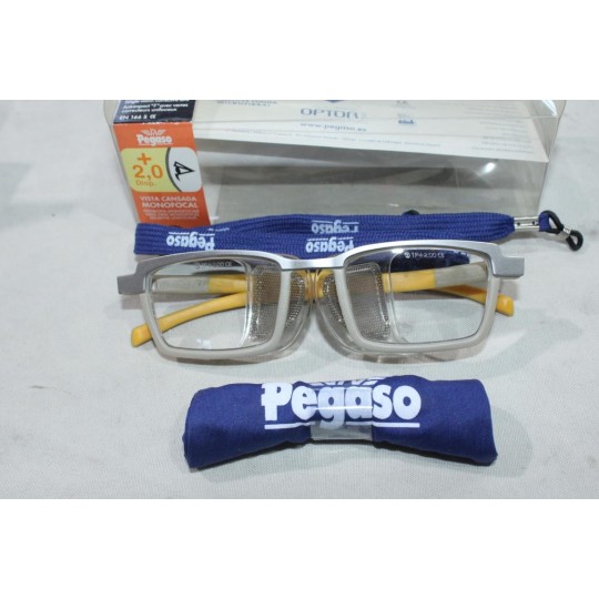 Lunette de vue et protection correction +2.0 diop presbyte monofocale Pegaso GP4R20 