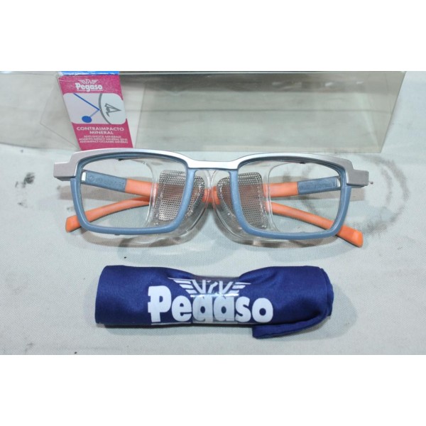 Lunette de protection verre minéral trempé Pegaso 4R 