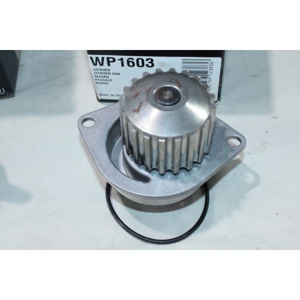 Pompe à eau + joint Delphi WP1603 pour citroen AX BX ZX C15 saxo xsara peugeot 106 205 206 306 405 rover 115 1.4 1.6 essence 