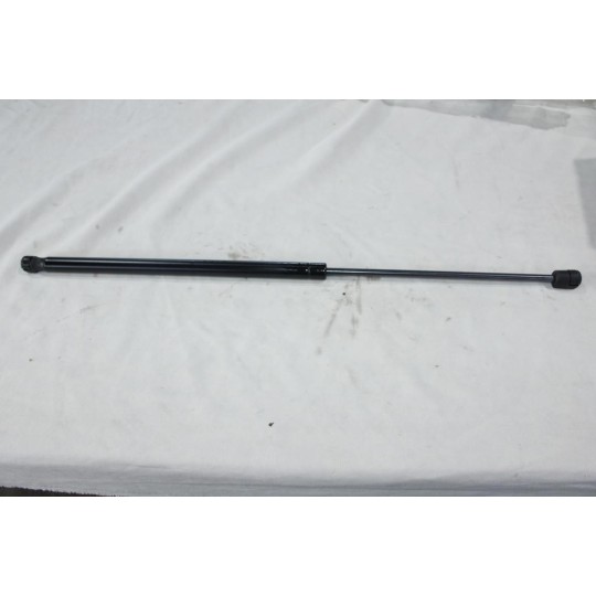 Verin hayon de coffre Ferron 101 pour lancia thema 
