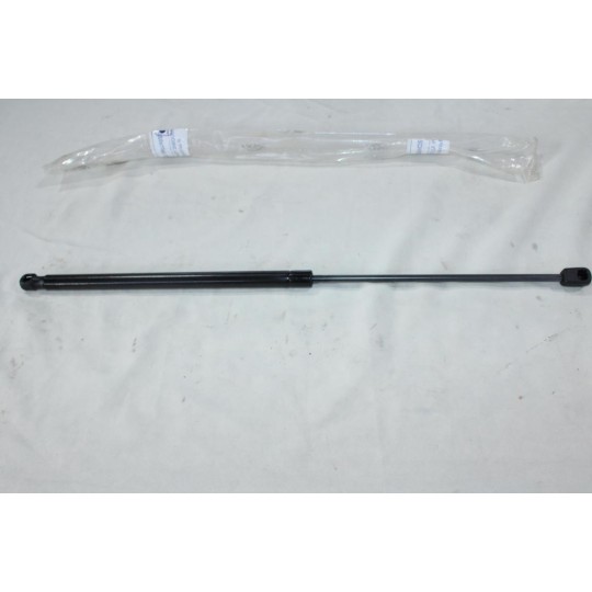 Verin hayon de coffre 600mm Ferron 110 