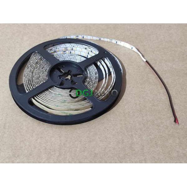 Bandeau 5M 5 metres de LED 24V IP65 blanc chaud 3000K Rohs LPRO-10-3000-IP65
