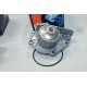 Pompe à eau avec joint Quinton Hazell QCP2743 pour land rover freelander lotus elise exige MG MGF TF ZR ZS ZT Z-TT 1.8 essence 
