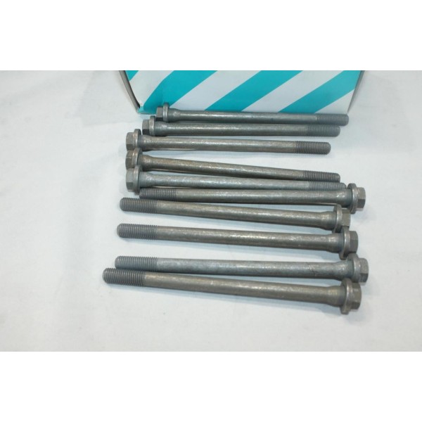Lot 10 vis de culasse Payen HBS083 pour citroen BX ZX xantia xsara visa evasion peugeot 205 305 306 309 405 406 806 expert 1.5 