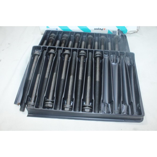 Lot 21 vis de culasse Payen HBS011 pour alfa romeo AR6 AR8 citroen BW C15 visa fiat 131 regata croma argenta ducato iveco daily 
