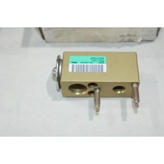 Detendeur de climatisation Ecoclim 252A70 6461K9 pour citroen C2 C3 C4 picasso jumpy 2 II berlingo 2 II peugeot 207 1007 expert 
