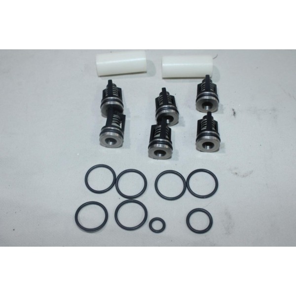 Kit reparation 6 vannes soupape clapet Nilfisk 1119707 pour nettoyeur haute pression nilfisk 30C 30CA 