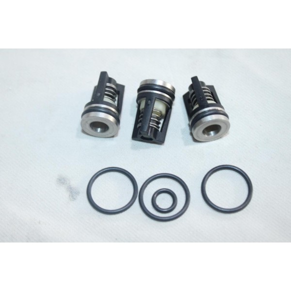 Kit reparation jeu 3 vannes soupape clapet (contenu de la photo) Nilfisk 1119707 pour nettoyeur haute pression nilfisk 30C 30CA 