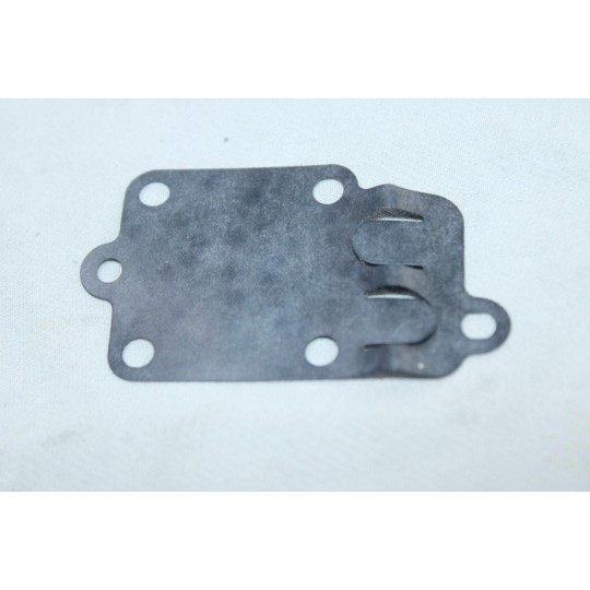 Joint de carburateur membrane Briggs & Stratton 4157 270026 