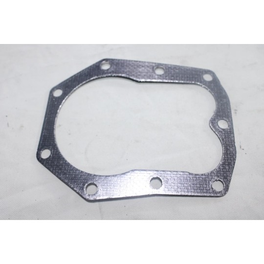 Joint de culasse Briggs & Stratton 4125 