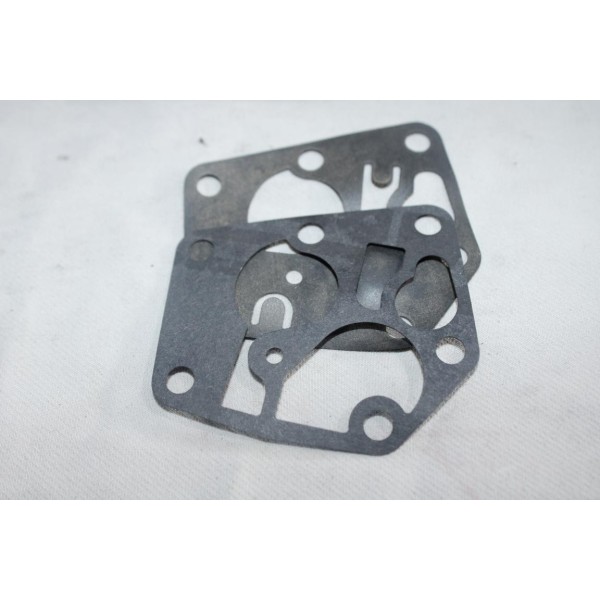 Jeu 2 membranes joint de carburateur Briggs & Stratton 495770 pour moteur 9D902 - 10G902 - 10T502 