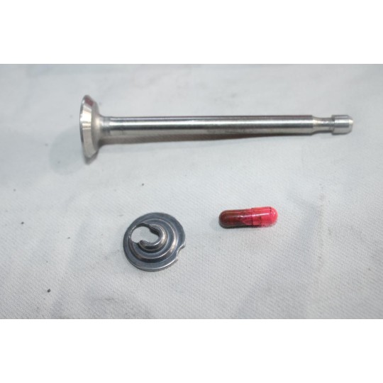 Soupape echappement Briggs & Stratton 296676 pour moteur 2HP 3HP 3.5HP 3.75HP 4HP 