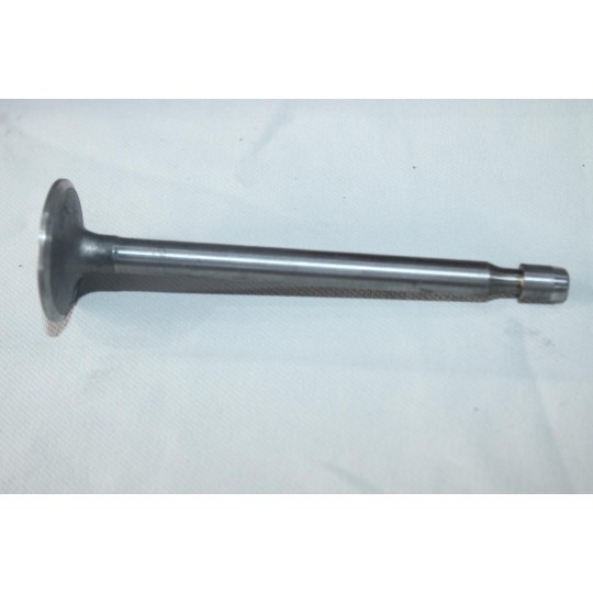 Soupape admission Briggs & Stratton 261055 pour moteur 140000 170000 190000 6CV 7CV 8CV 