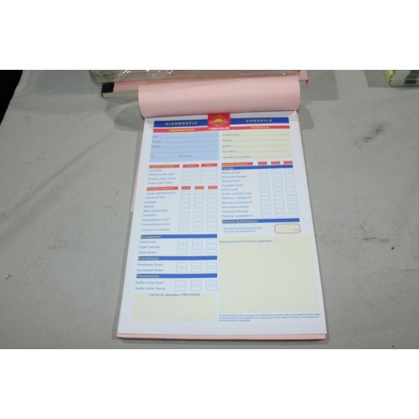 Carnet de diagnostic et conseils Precisium CARNET ROSE PRE014 