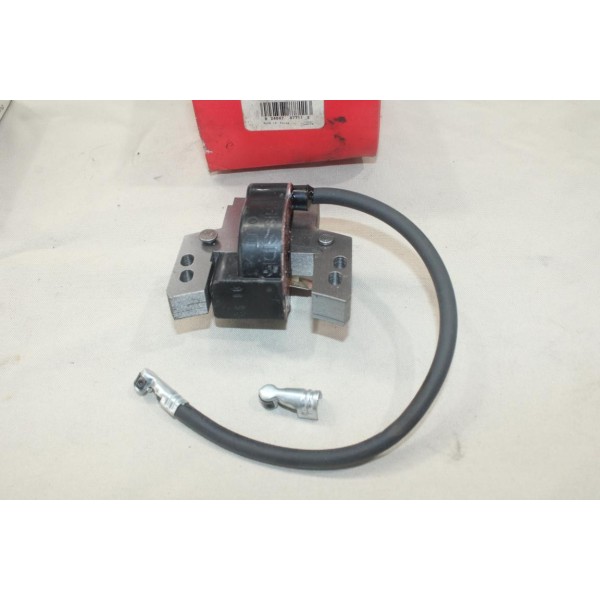 Bobine alluamge Briggs & Stratton 591420 pour moteur 2HP 4HP 