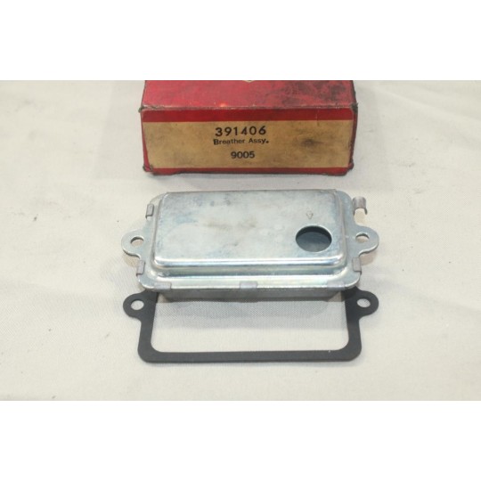 Reniflard Briggs & Stratton 391406 