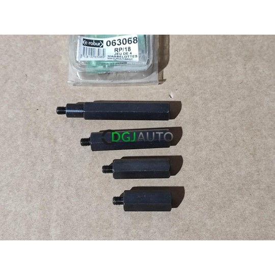 Kit 4 masselottes maxi multispot E-robur 063068 RP/18 3508190630689