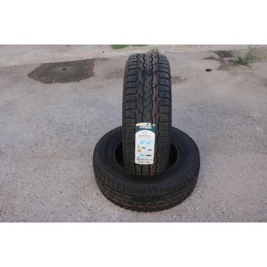 Lot 2 pneus hiver NEUF Nokian tyres WR C3 215/65/15 C 215 65 15C 104 102T DOT3920 