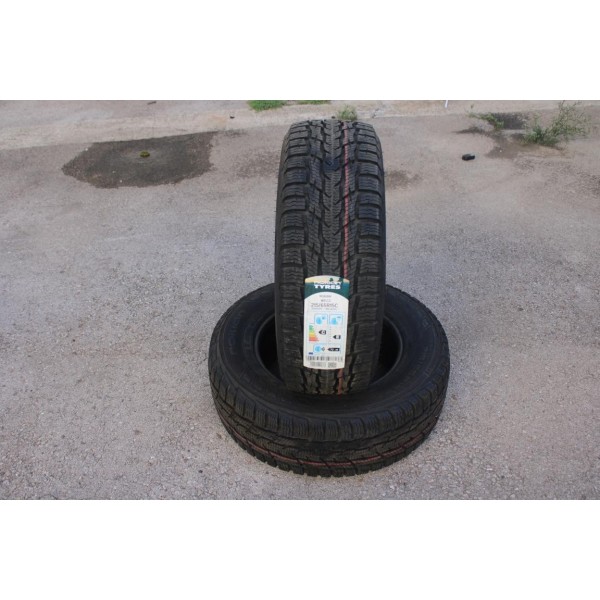 Lot 2 pneus hiver NEUF Nokian tyres WR C3 215/65/15 C 215 65 15C 104 102T DOT3920 