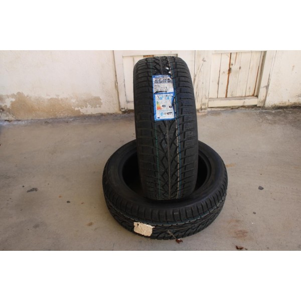 Lot 2 pneus hiver NEUF Toyota tires Observe G3-ice 255/50/20 255 50 20 109T DOT2014 