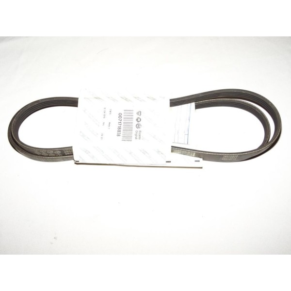 Courroie accessoire 4PK841 71718838 pour fiat brava bravo doblo marea palio punto 1 2 strada lancia Y ypsilon peugeot 205 suzuki