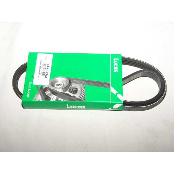 Courroie accessoire 4PK875 pour alfa romeo 155 chrysler PT cruiser honda civic CRX hyundai accent atos coupé elantra getz lantra