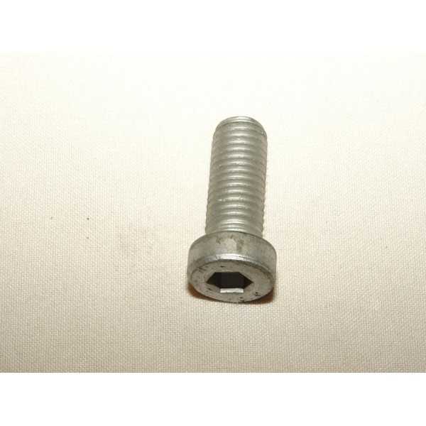 Vis poulie pompe direction assistée DA 5895338 pour alfa romeo 155 164